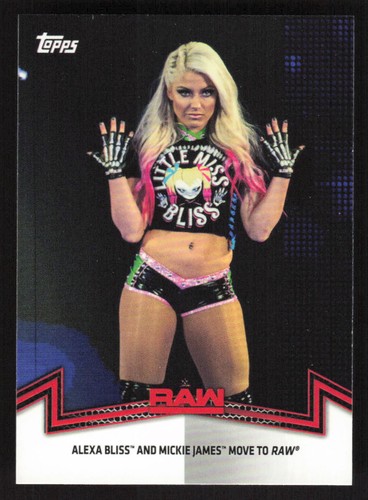 2018 wwe women division - 2018, women's